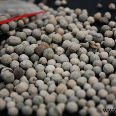 吉安瑞林牌 生物陶粒濾料用途/寧崗生物陶粒濾料價格