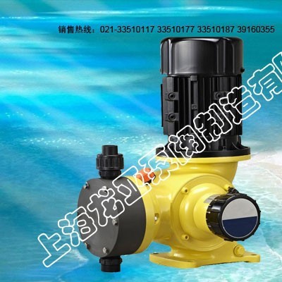 硅石加藥計量泵-上海龍亞出品-GM120/0.3投加泵