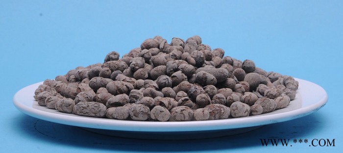 輕質頁巖陶粒 頁巖生物陶粒 生物濾池頁巖陶粒濾料**