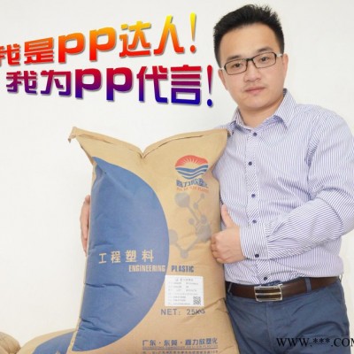 煅燒高嶺土增強PP 高光澤 高抗沖 PP改性企業直銷