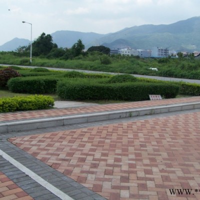 燒結磚、建菱磚、頁巖磚**200*100*50地面磚