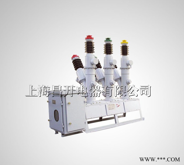LW3-10Ⅰ ⅡⅢ型戶外高壓六氟硫斷路器 LW3 六氟硫斷