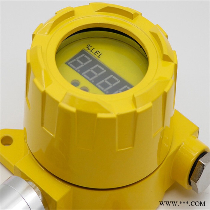 **氣體報(bào)警器氣體報(bào)警儀**氣體報(bào)警器