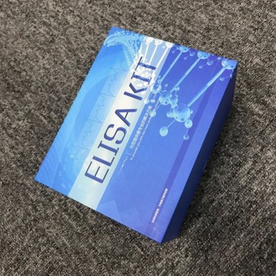 睿信生物 豬核糖磷酸焦磷酸激酶1（PRPS1）ELISA試劑盒價格合理