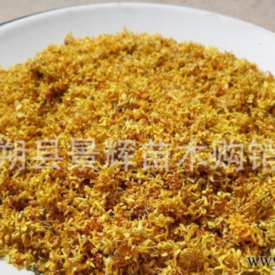 低價干桂花 廣西桂林桂花干 無硫烘干