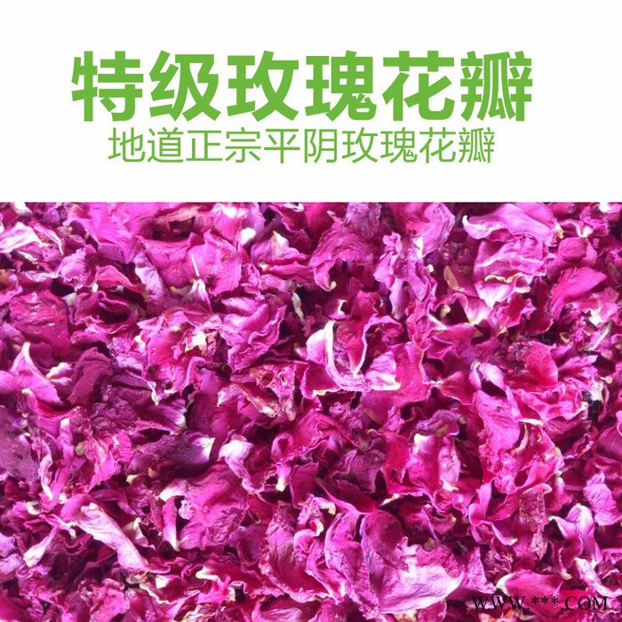 16年新特級食用玫瑰干花瓣 平陰重瓣紅玫瑰花瓣 低溫?zé)o硫 玫瑰花瓣