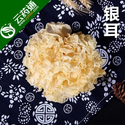 福建古田特產無硫銀耳干貨白木耳雪耳新鮮銀耳糯銀耳300g一袋包郵