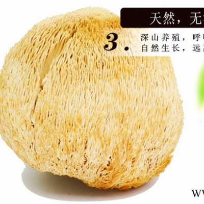 大興安嶺特產猴頭菇養胃東北**猴頭菇菌類山貨干貨店無硫200g食用菌