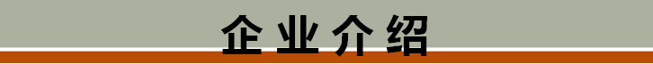 企業(yè)介紹