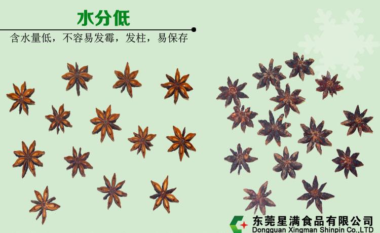 第5業