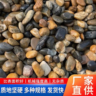 鵝卵石凈化水質(zhì)水處理濾料地暖庭院鋪路工藝品造景盆栽大卵石砂石