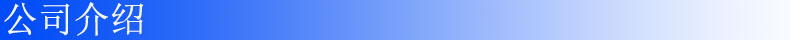 公司介紹