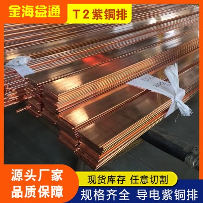 鍍錫紫銅排 t2紫銅排非標紫銅 R角紫銅排 倒角銅排 母排現貨批發